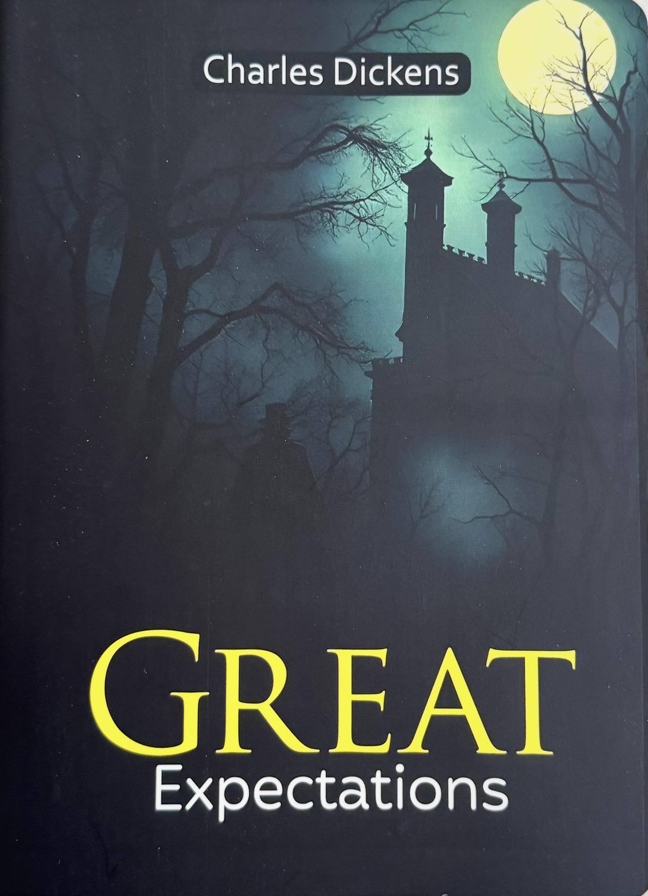 Screenshot Great expectations – Image 1